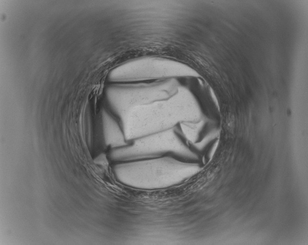 X0000069360817200606021450