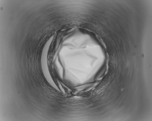 X0000069360818200606021450