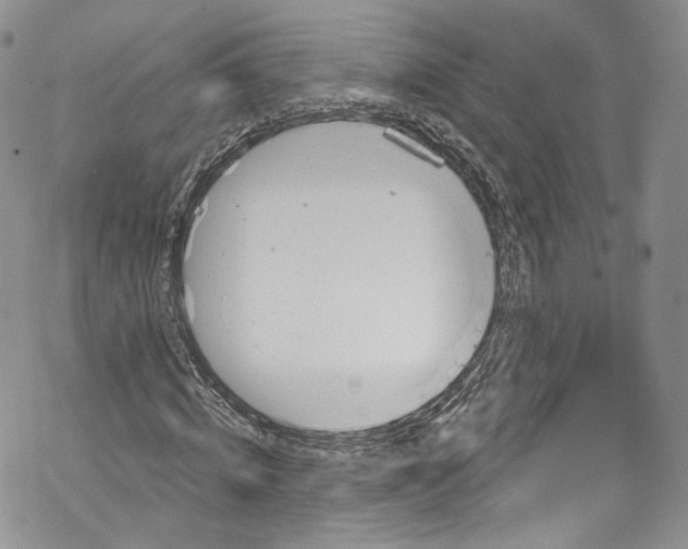 X0000069360820200606021451