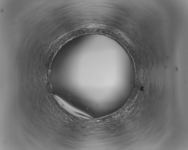 X0000069360821200606021451