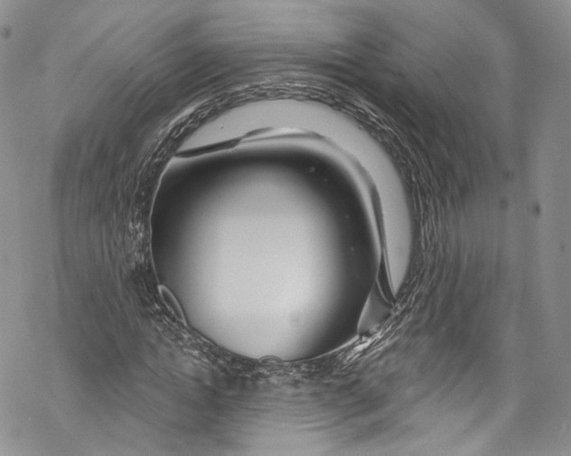 X0000069360822200606021451