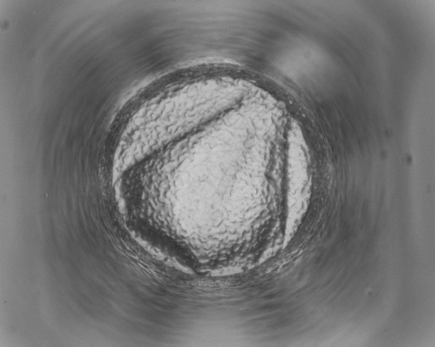 X0000069360823200606021451