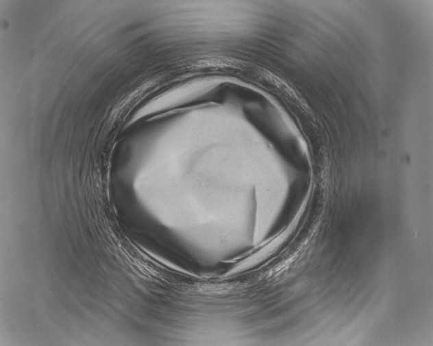 X0000069360825200606021451