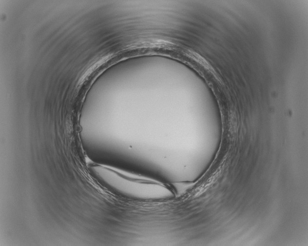 X0000069360826200606021451