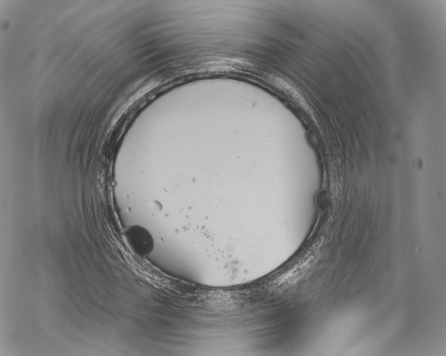 X0000069360827200606021451