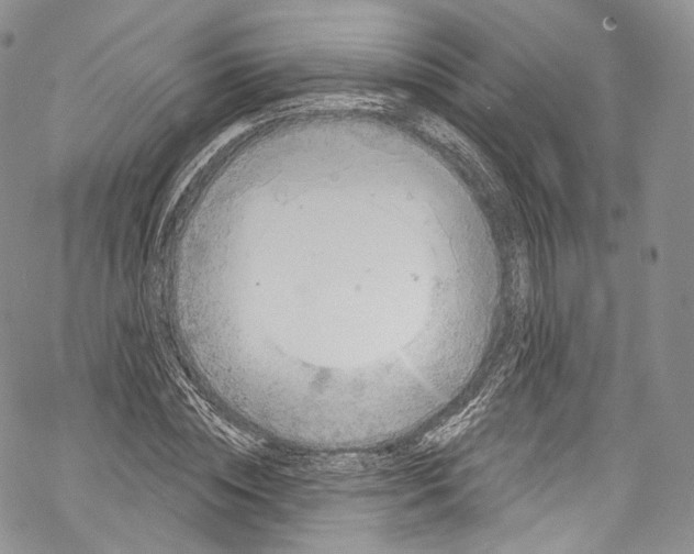 X0000069360828200606021451