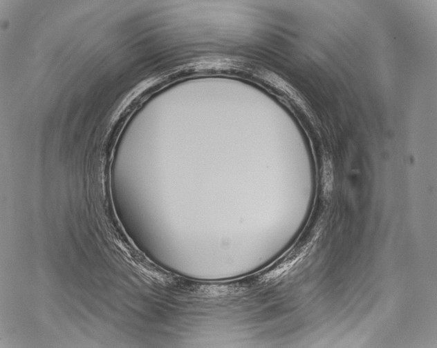 X0000069360829200606021451