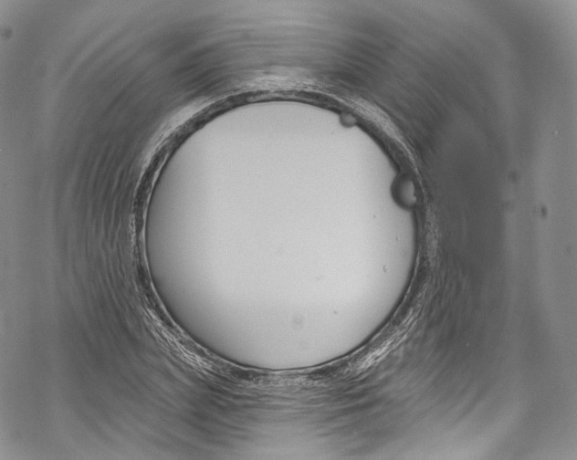 X0000069360831200606021451