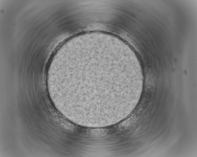 X0000069360832200606021451