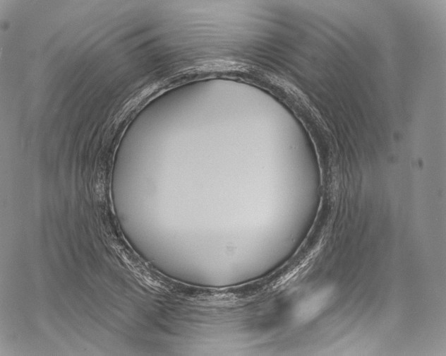 X0000069360833200606021451