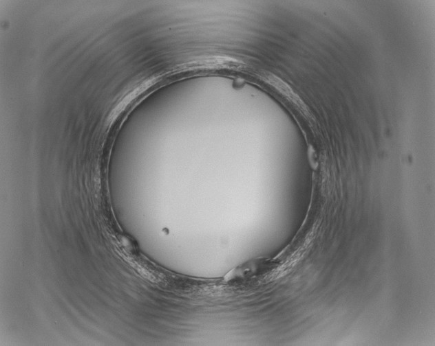 X0000069360834200606021451