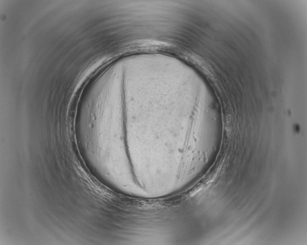 X0000069360835200606021451