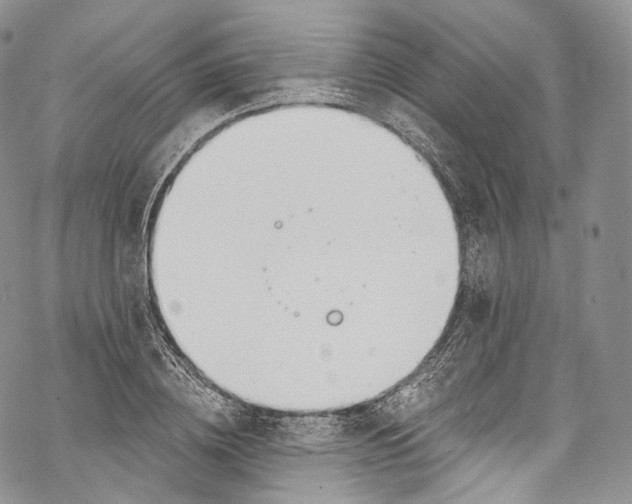 X0000069360836200606021451