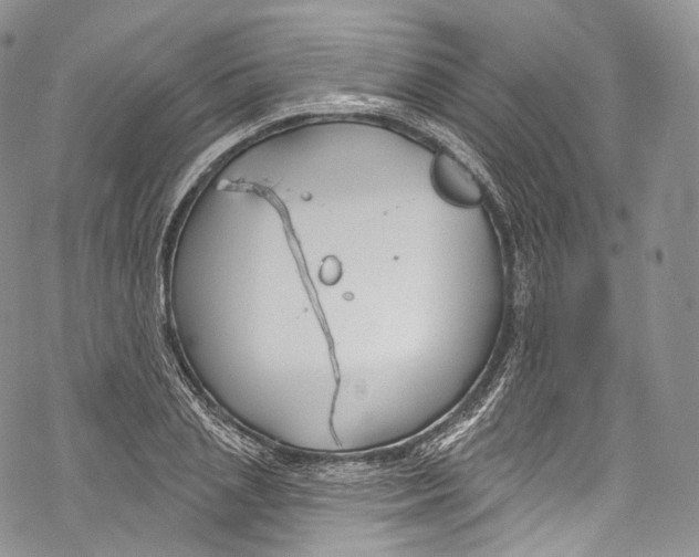 X0000069360837200606021451