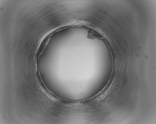 X0000069360838200606021451