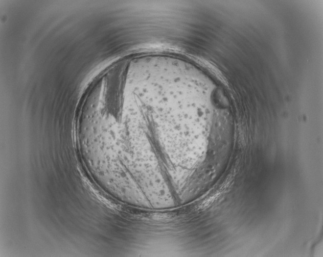 X0000069360839200606021451