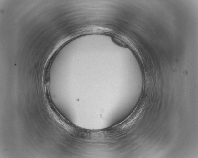 X0000069360843200606021451