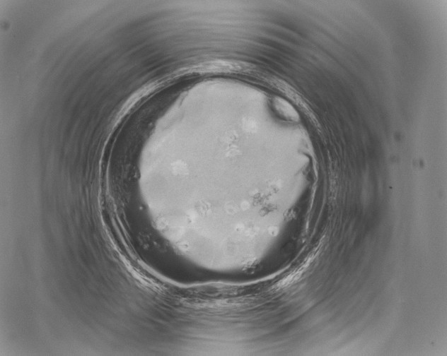 X0000069360845200606021451