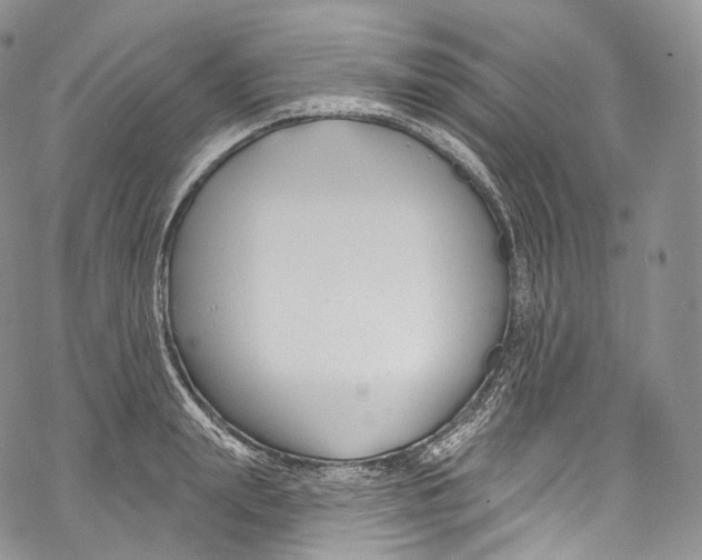 X0000069360847200606021451