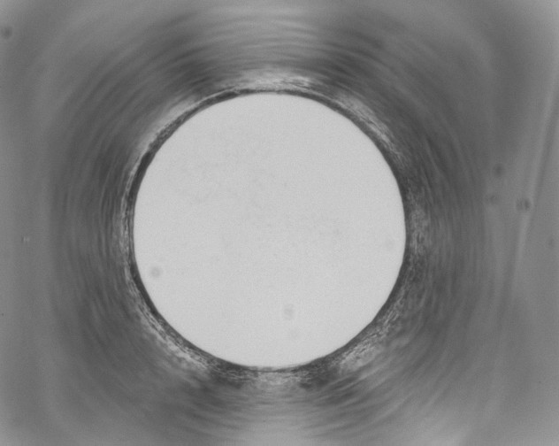 X0000069360848200606021451