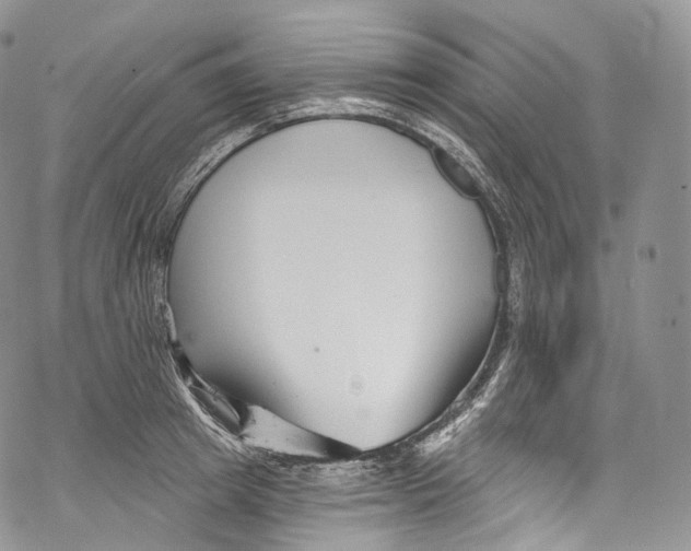 X0000069360849200606021451