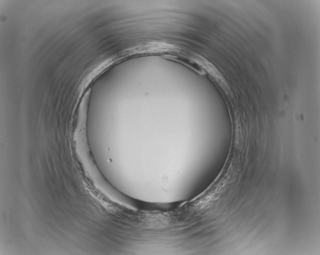 X0000069360850200606021451