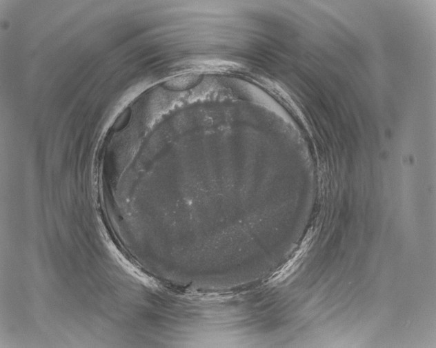 X0000069360851200606021451