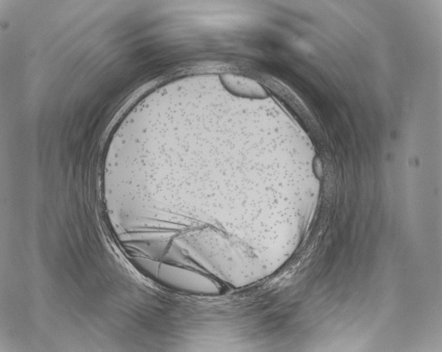 X0000069360852200606021451