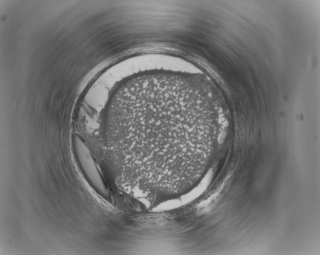 X0000069360853200606021451