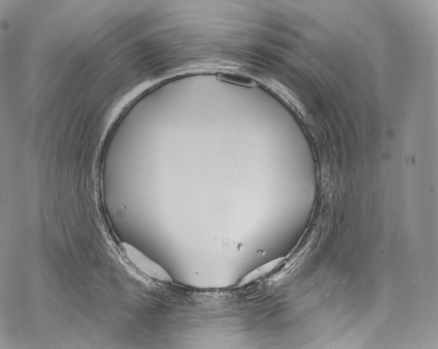 X0000069360854200606021451