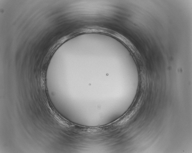 X0000069360857200606021451