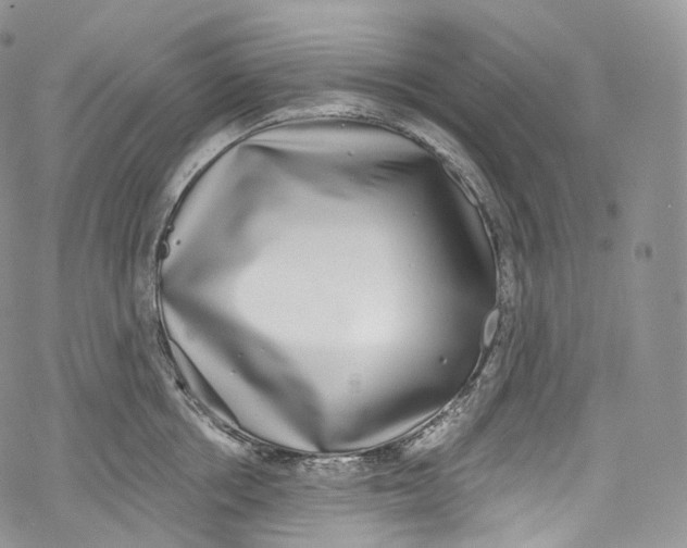 X0000069360858200606021451