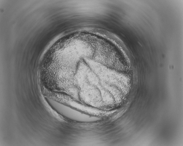 X0000069360859200606021451