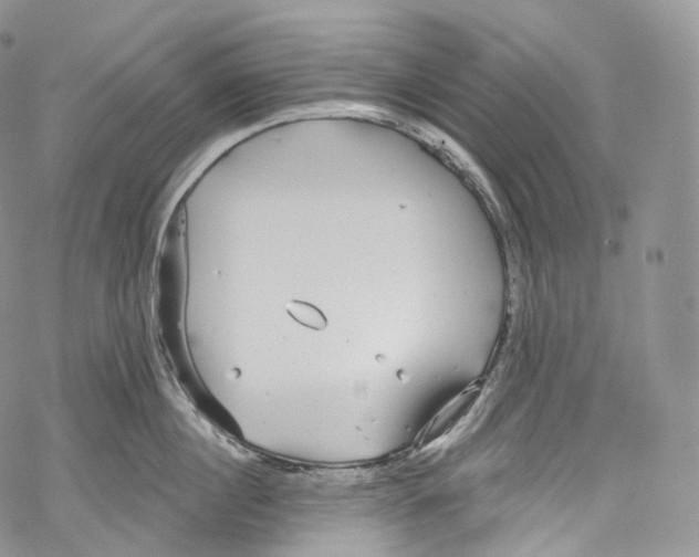 X0000069360860200606021451