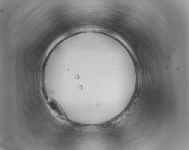 X0000069360861200606021451