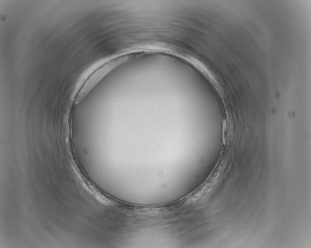 X0000069360862200606021451