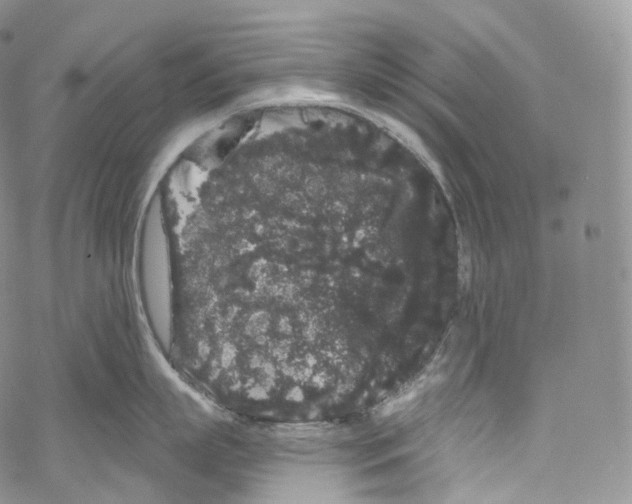 X0000069360863200606021451