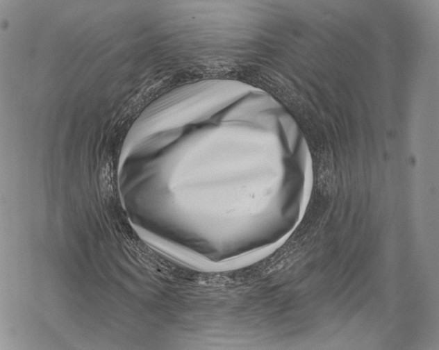 X0000069360866200606021450