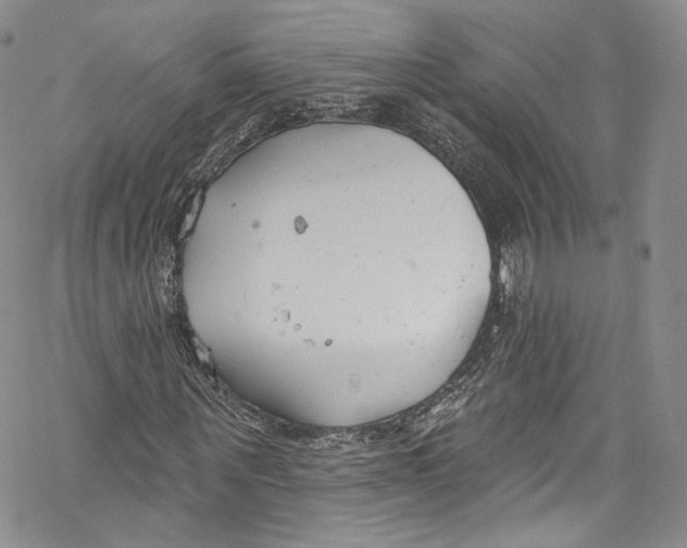 X0000069360867200606021450