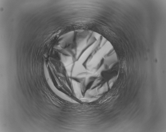 X0000069360868200606021450