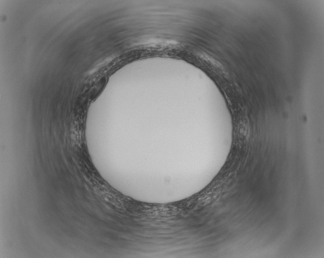 X0000069360869200606021450