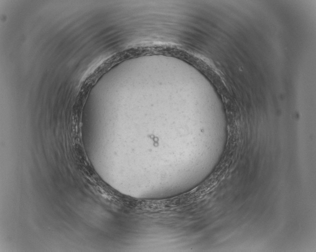 X0000069360871200606021450