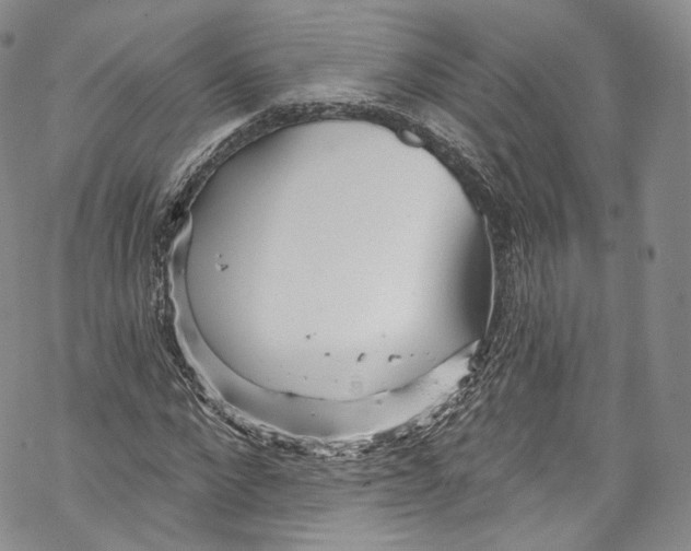 X0000069360872200606021450