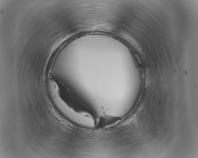 X0000069360876200606021450