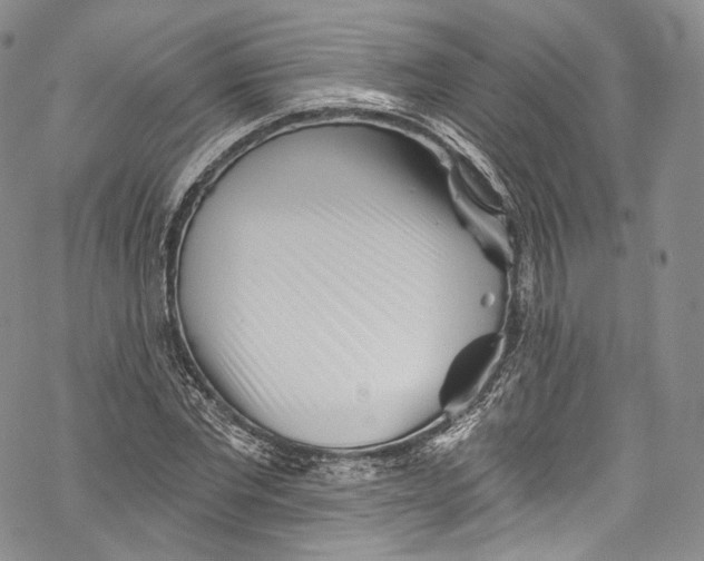 X0000069360877200606021450