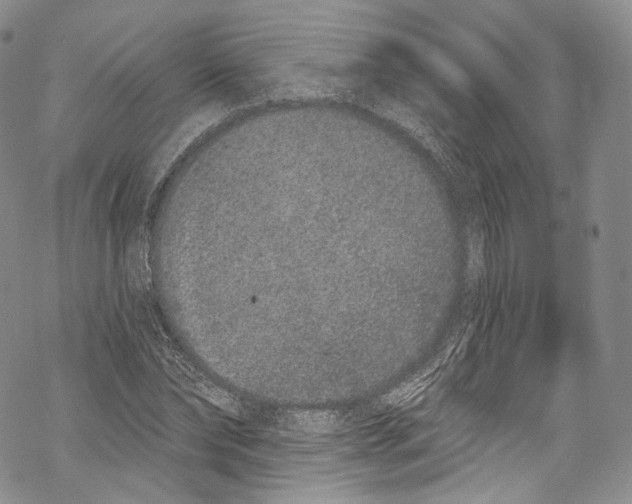 X0000069360878200606021450