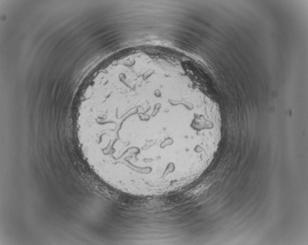 X0000069360879200606021450