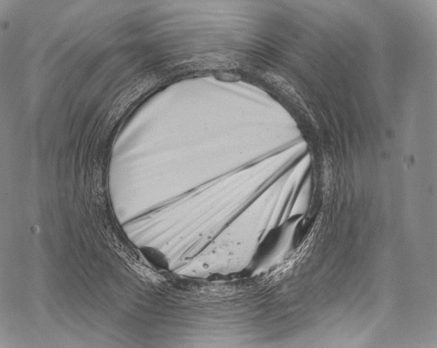 X0000069360881200606021450