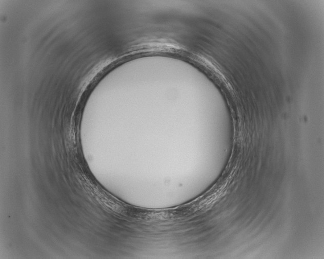 X0000069360883200606021450