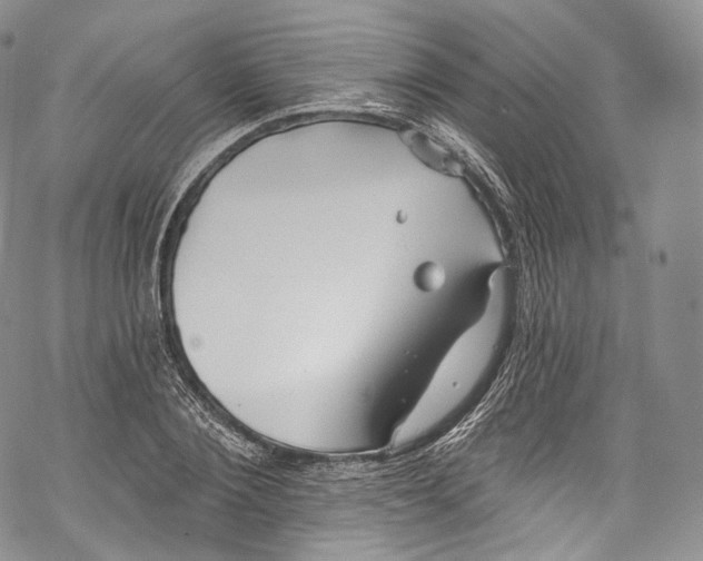 X0000069360884200606021450